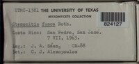 Image Associated With the Occurence
